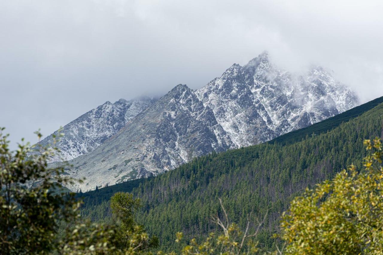 Apartman Pod Hrebienkom - C218 Vysoké Tatry Kültér fotó