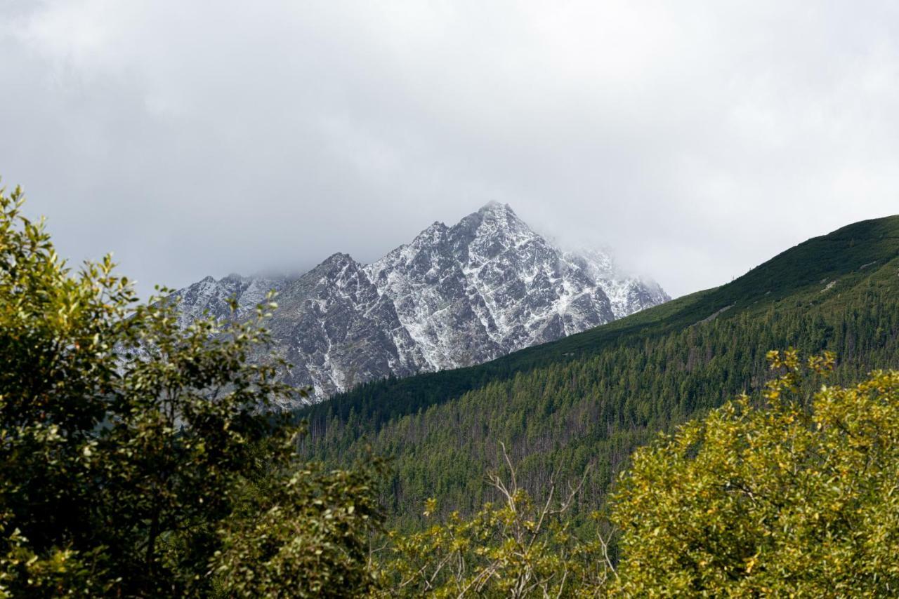 Apartman Pod Hrebienkom - C218 Vysoké Tatry Kültér fotó