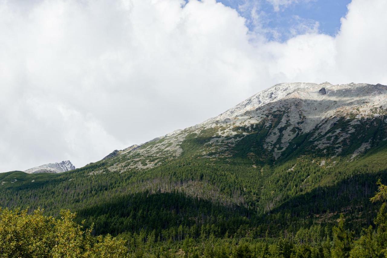 Apartman Pod Hrebienkom - C218 Vysoké Tatry Kültér fotó